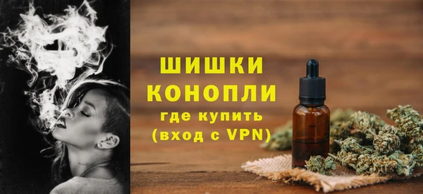 стафф Волгодонск