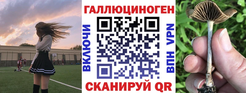 МЕГА ТОР  хочу наркоту  Арск  Псилоцибиновые грибы мухоморы 
